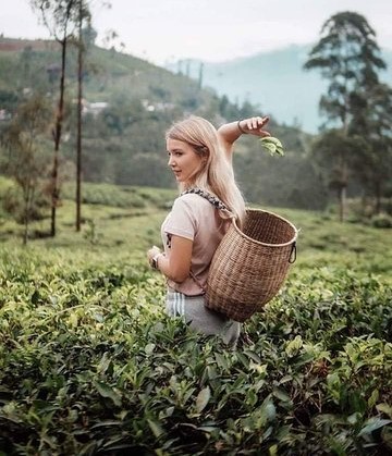 Sri Lanka Discovery